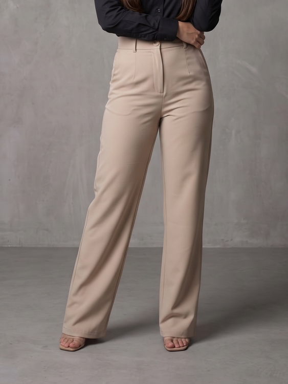 Beige Cooperate Trouser Pants